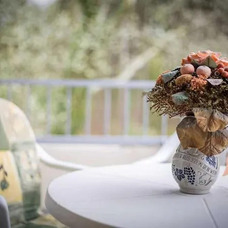 アパート 10 Id 161 *